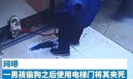 小男孩被爆料视频真实事件,真相与反思