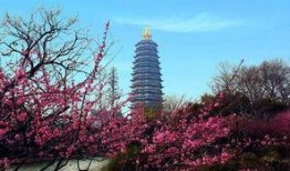 常州景点爆料事件最新情况,最新进展揭秘，真相大白！