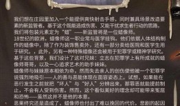 监管者故事视频爆料,视频爆料背后的权力与真相